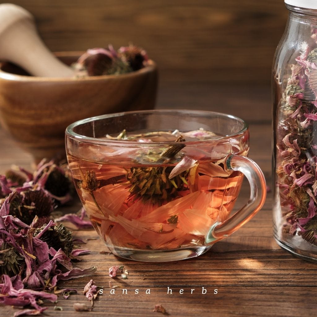 echinace tea
