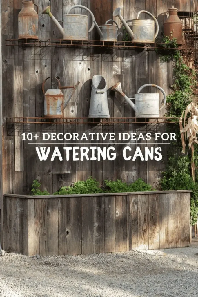 decorative-watering-can vintage watering can decor