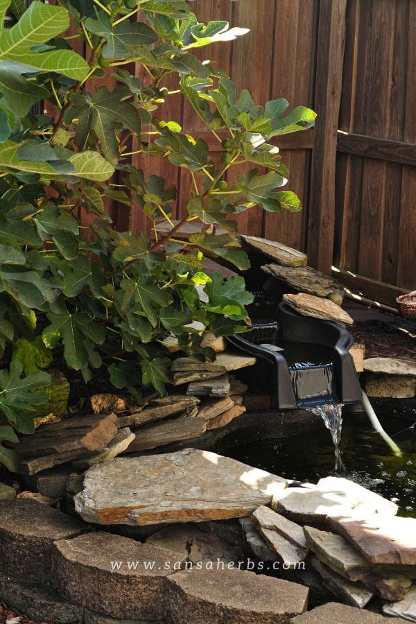 diy water feature (1) diy water feature showing a spillway weir box dressed with stones