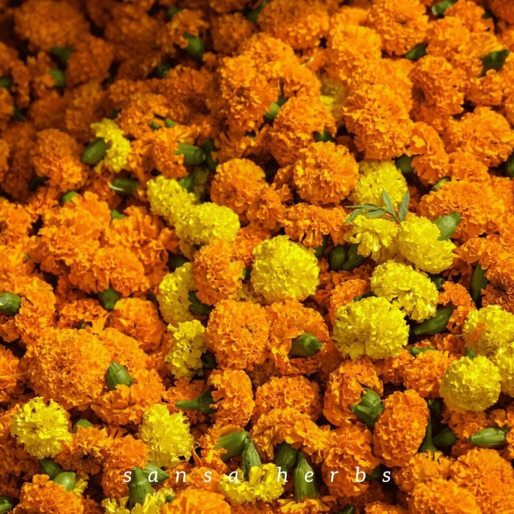 marigolds