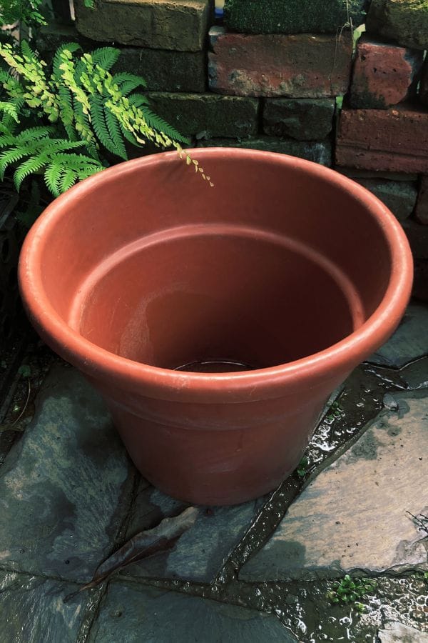 Empty plant pot with drainage holes, recommended for growing turmeric and other root herbs