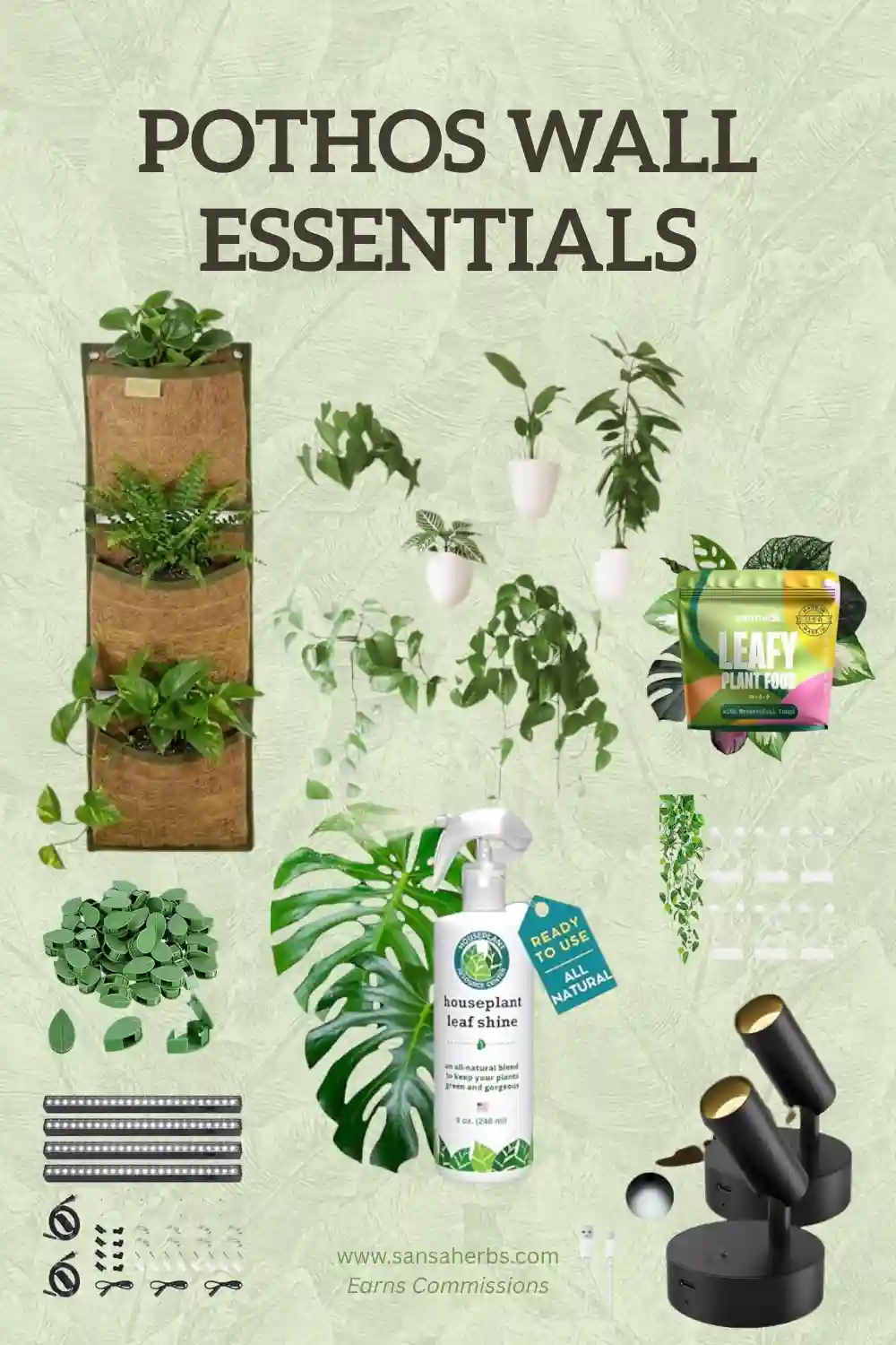 pothos-wall-essentials pothos wall essentials