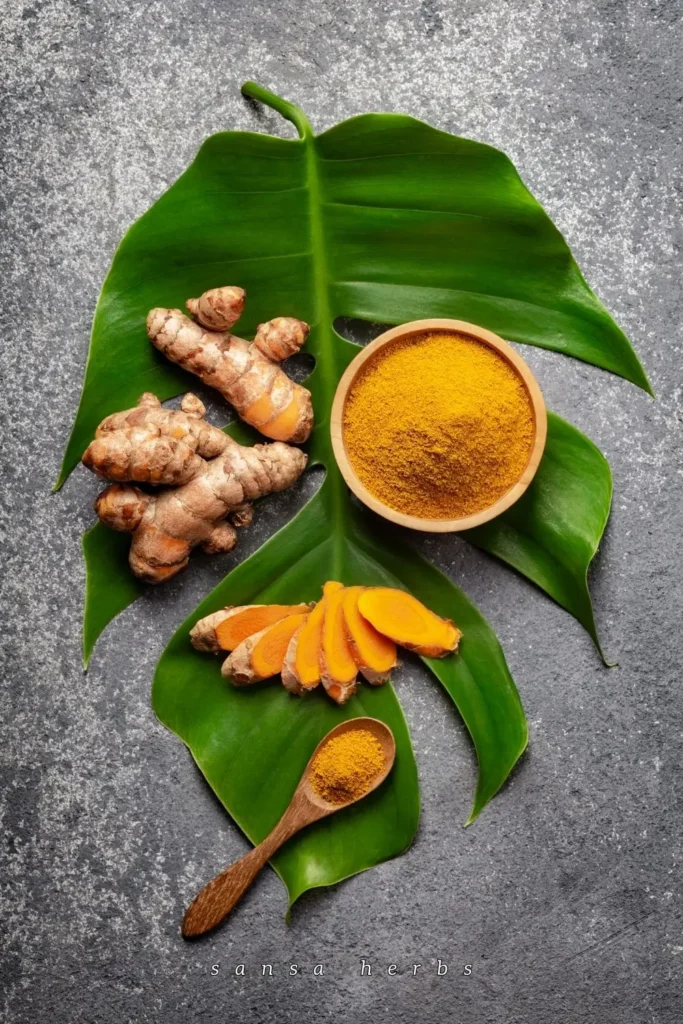 turmeric root, powder and slices